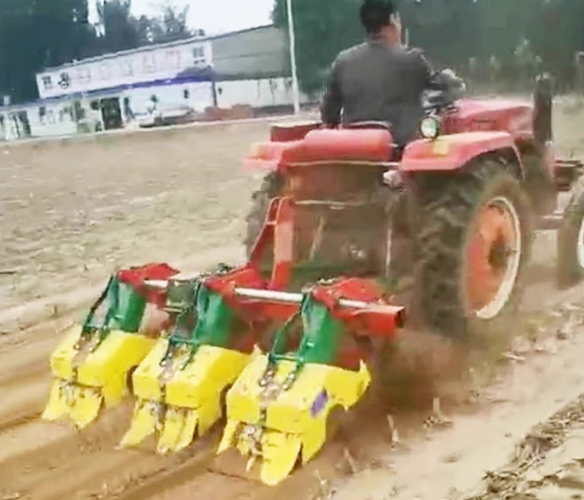 Revolutionizing Paddy Weeding: What Buyers Care About Most in Rice ...